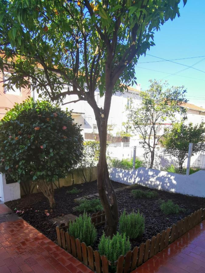 Villa Coimbra - Casa Inteira Екстериор снимка